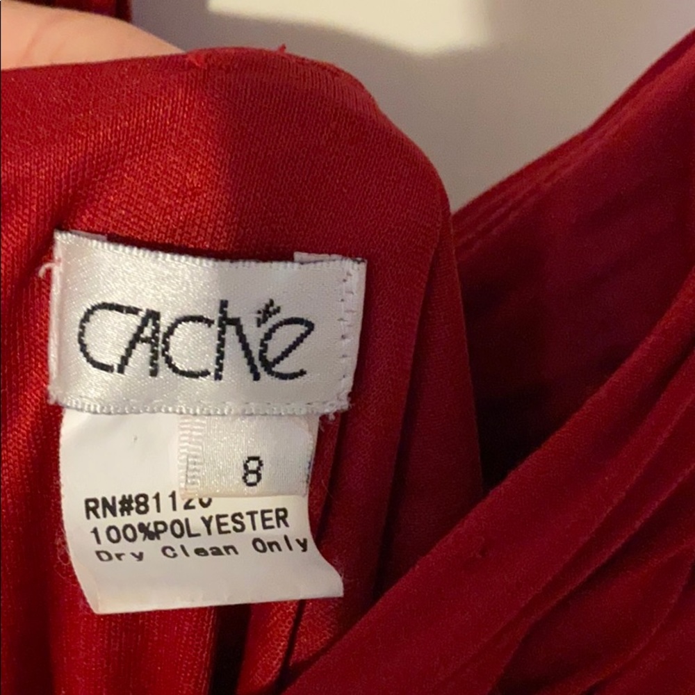 Cache Party Gown - image 6